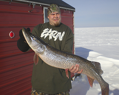 Picuture of 40-inch Northern Pike