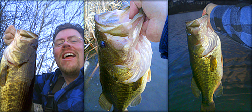 largemouthbass largemouthbass