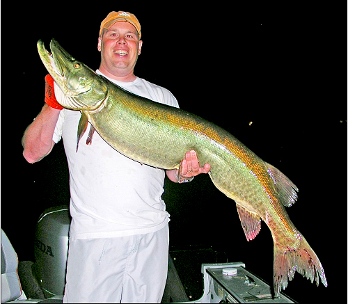 52inch_muskie