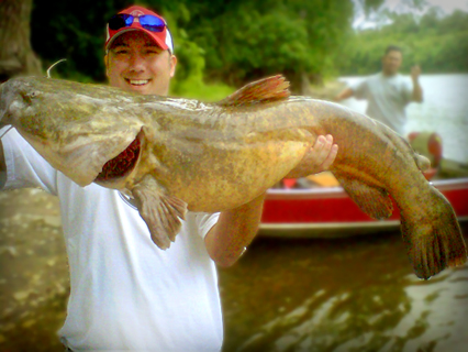 Large Channel Catfish